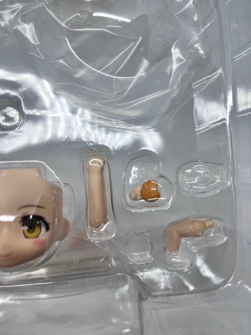 「偽物語」PremiumアイテムBOX ねんどろいど