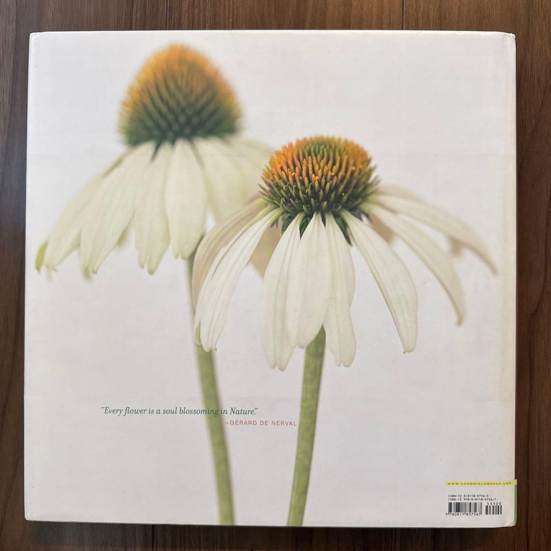 アート・デザイン・音楽 BLOOM Ron Van Dongen