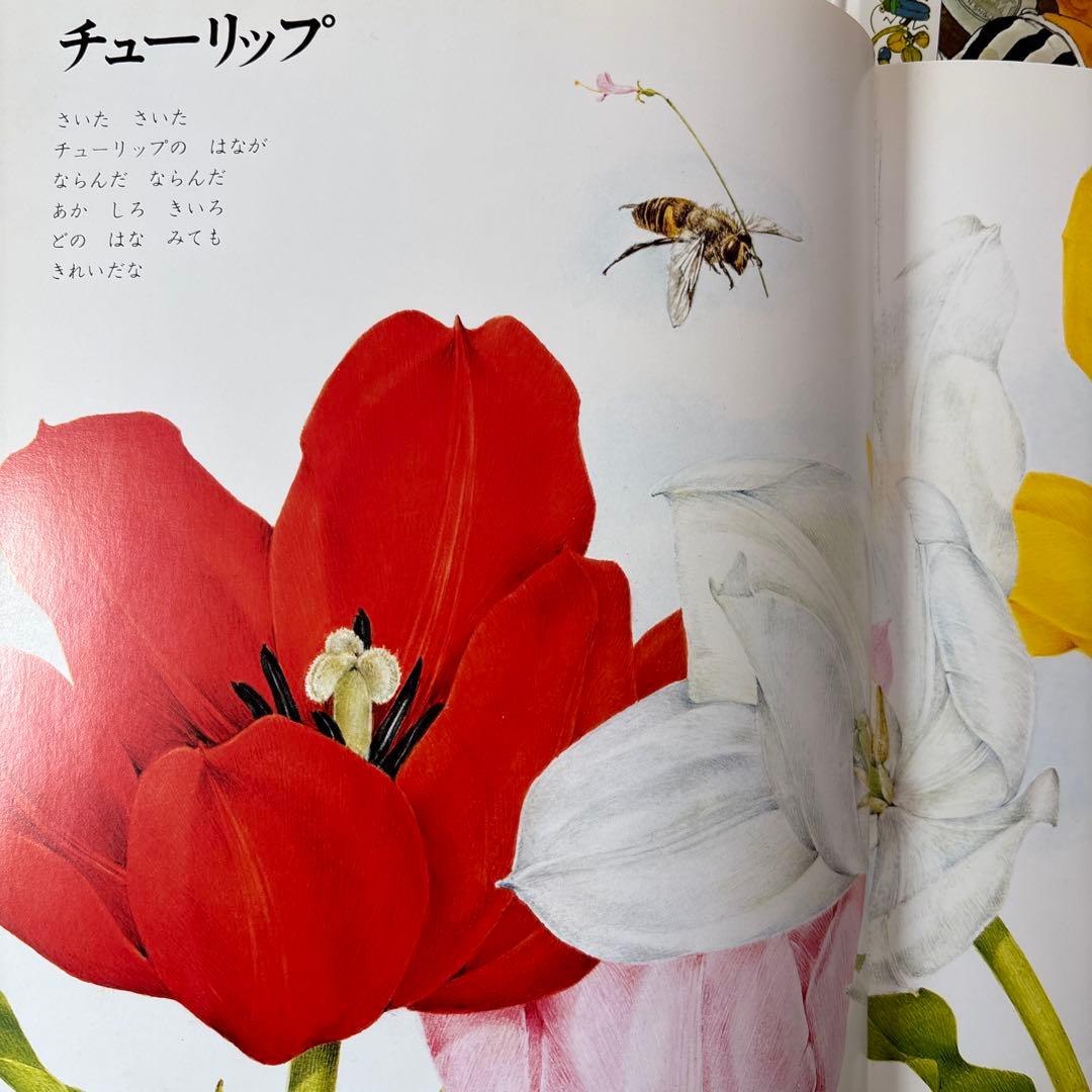 ドレミファランド 1〜16巻