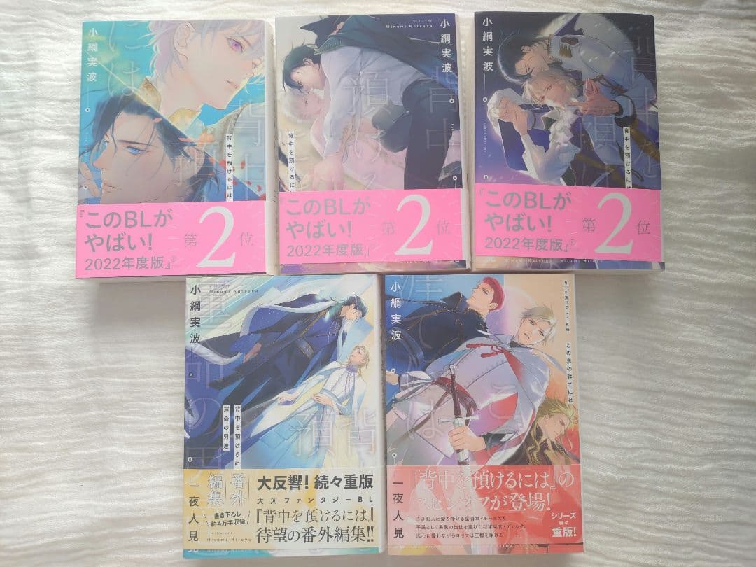 BL 小説 背中を預けるには 完結全5冊 特典つき