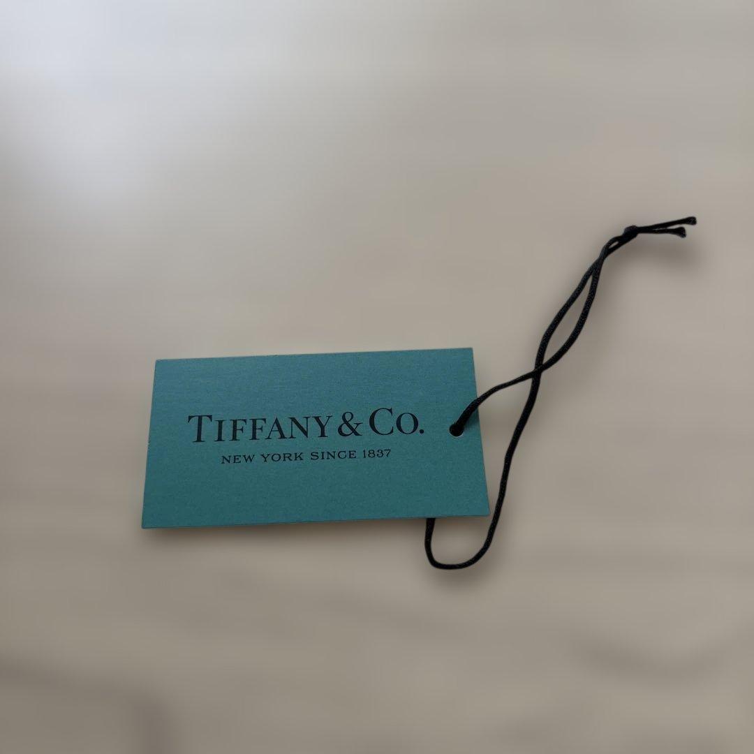 【Boisdarcy 】Tiffany & Co. サングラス セット