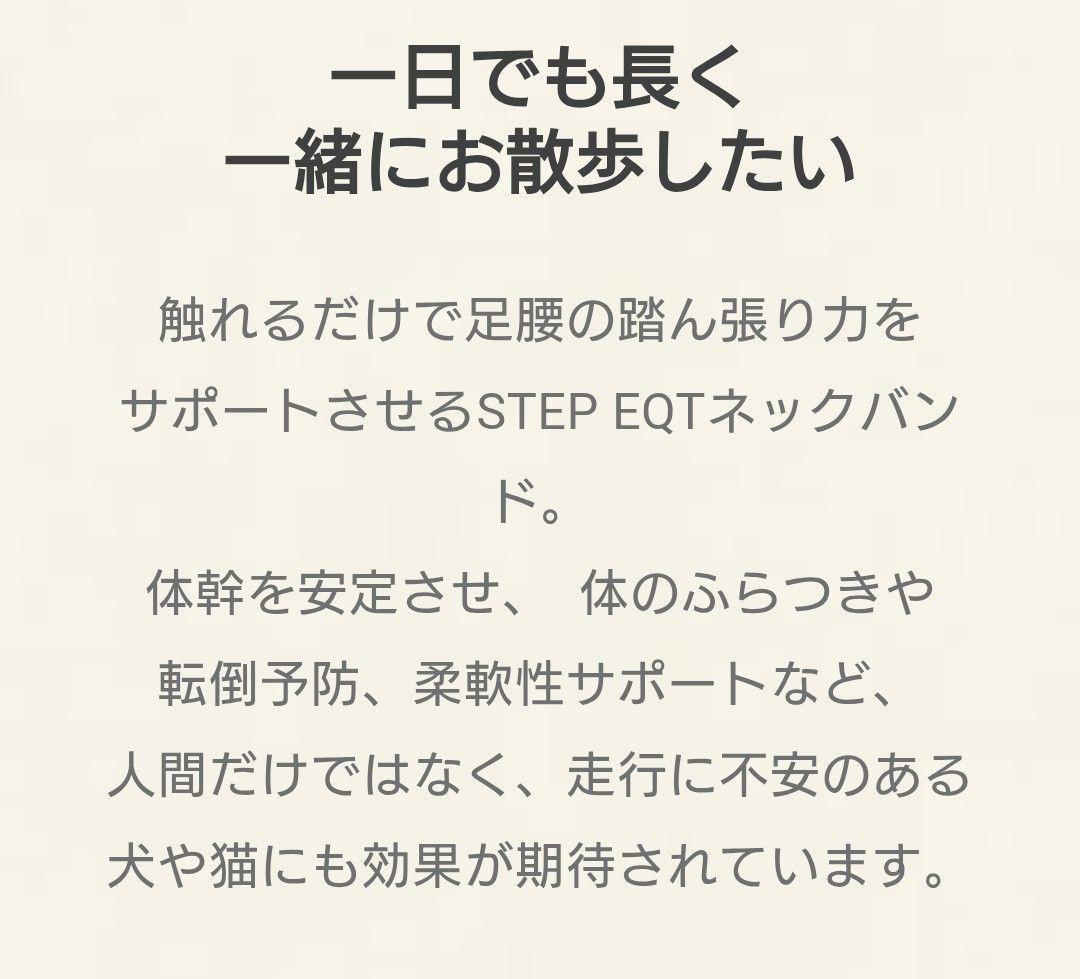STEP EQT 犬用 ネックバンド M