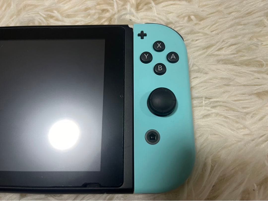 Nintendo Switch 本体 あつまれ どうぶつの森　開封品