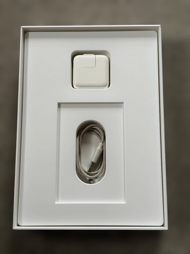 iPad Air 2 WiFi 128Gb Silver（A1566）箱付き