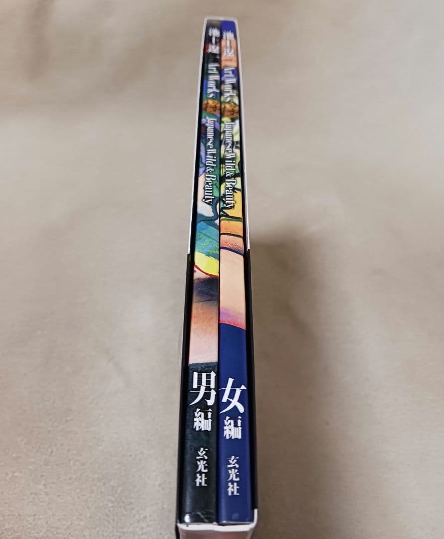 池上遼一 Art Works 男編&女編