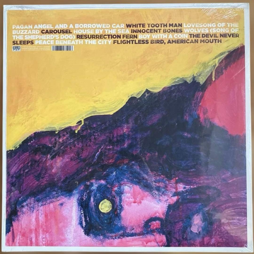 Iron and Wine / The Shepherd's Dog レコード