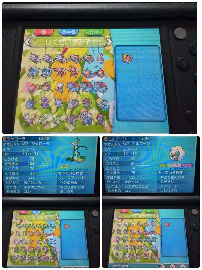 ポケモン アルファサファイア ソフト 配布 250体以上 育成済み200体以上