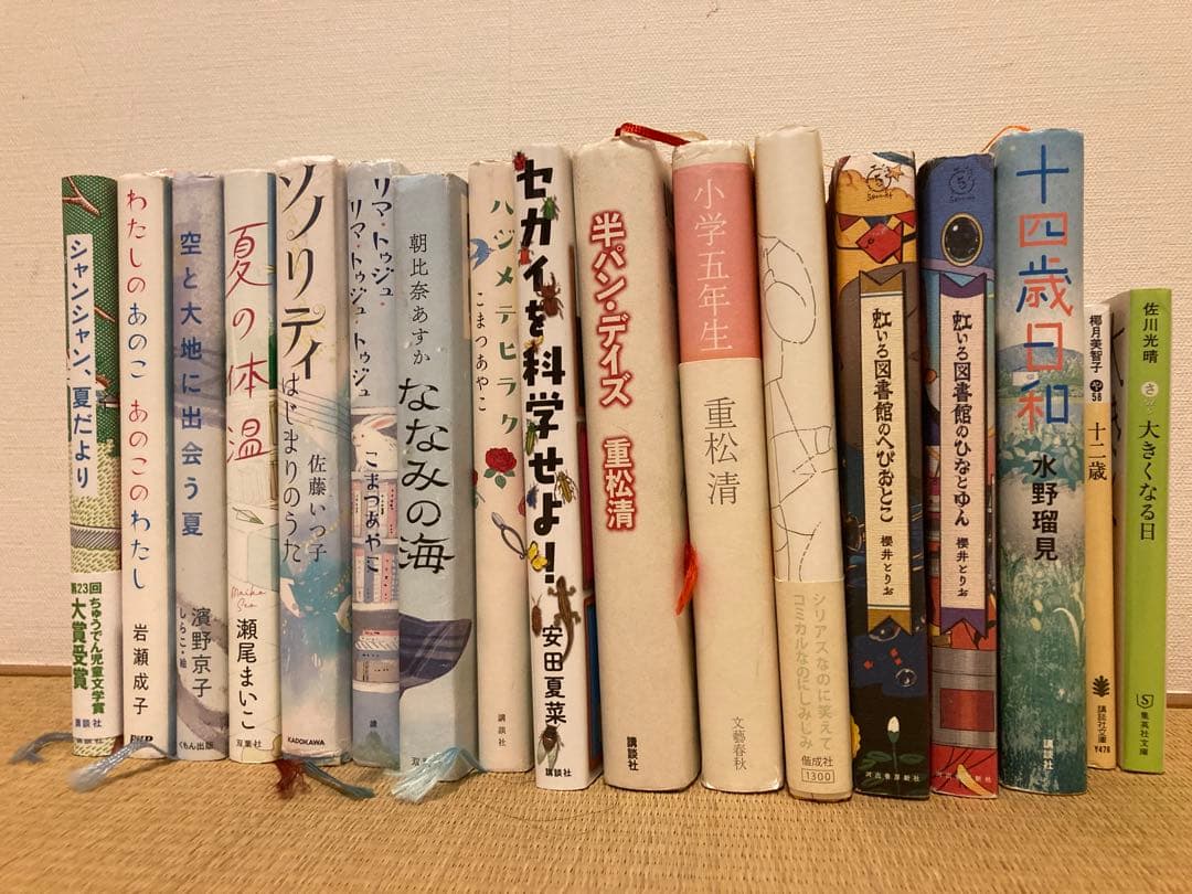 【頻出】中学受験によく出る小説 17冊セット