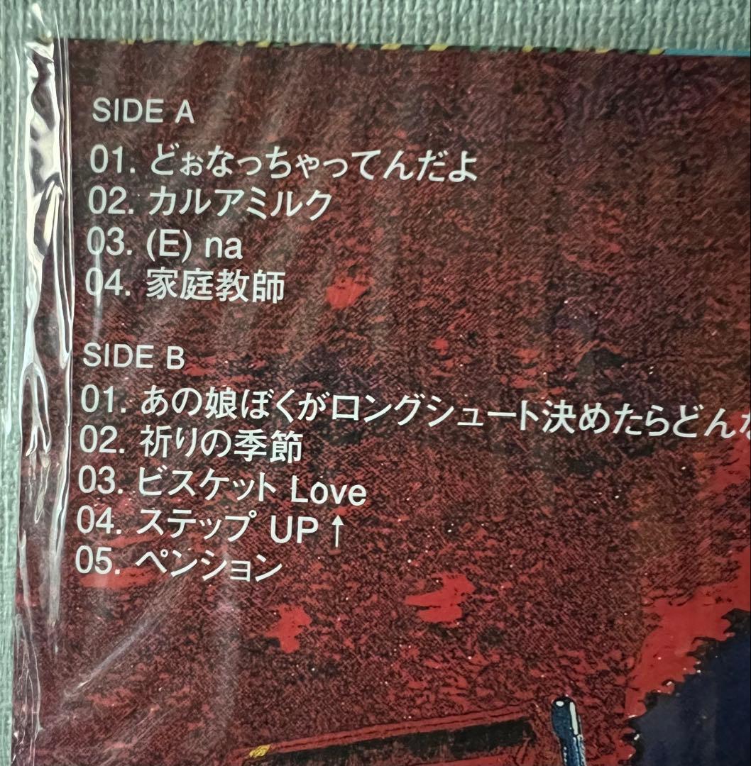 岡村靖幸　家庭教師　白黒ジャケ•スリーブ•ケース付 アナログ•レコード盤