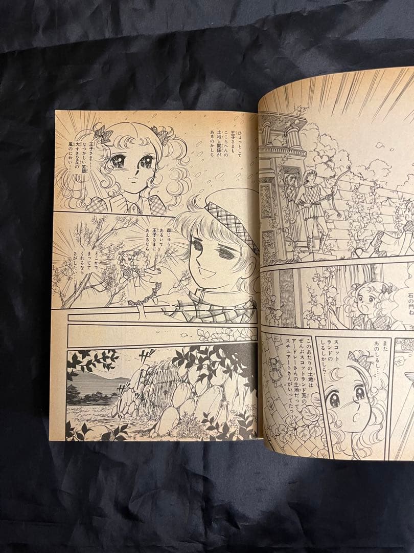 初版 愛蔵版 全巻 セット キャンディキャンディ