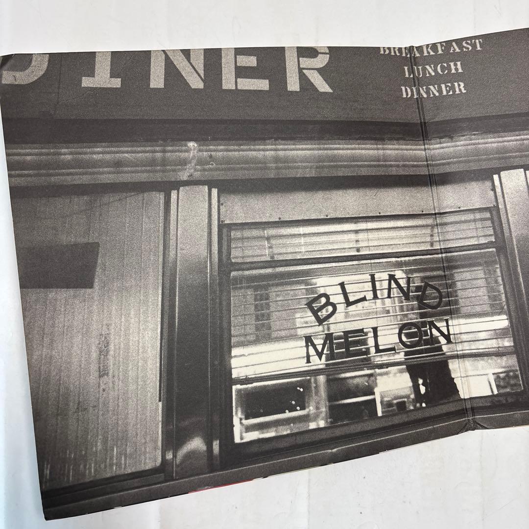Blind Melon soup アナログレコード