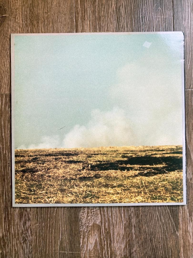 Zoviet France「SHOUTING AT THE GROUND」2LP