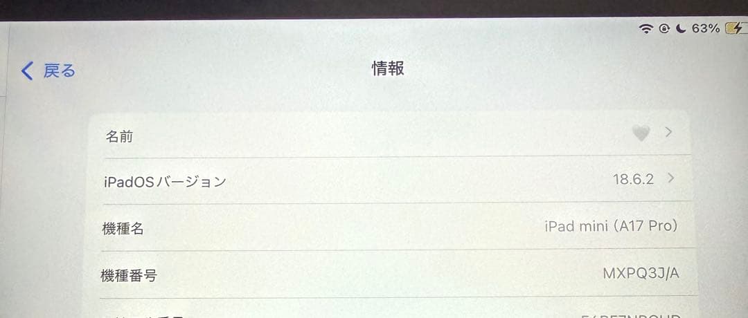 ipad mini 第7世代 Wi-Fi+Cellular 128GB 本体