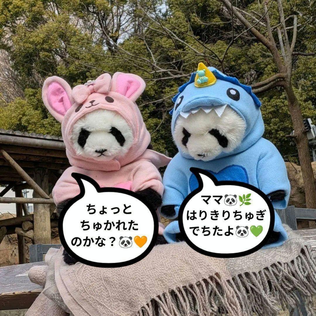 【シャンシャン様オーダー】だっこシャオレイ♡怪獣うさぎ変身コスチュームセット