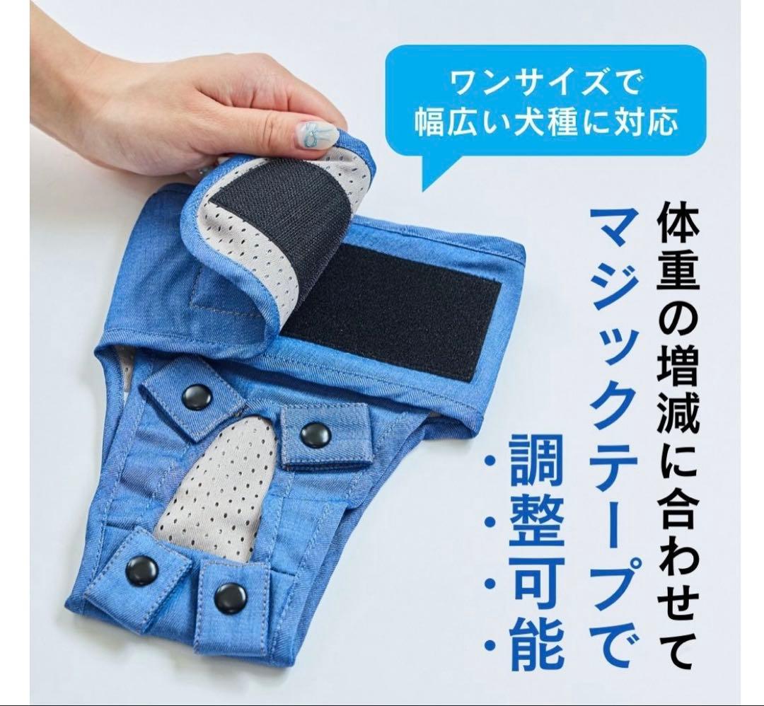 うんコロキャッチ　Lサイズ 特許　犬用オムツ　老犬介護　うんコロキャッチャー