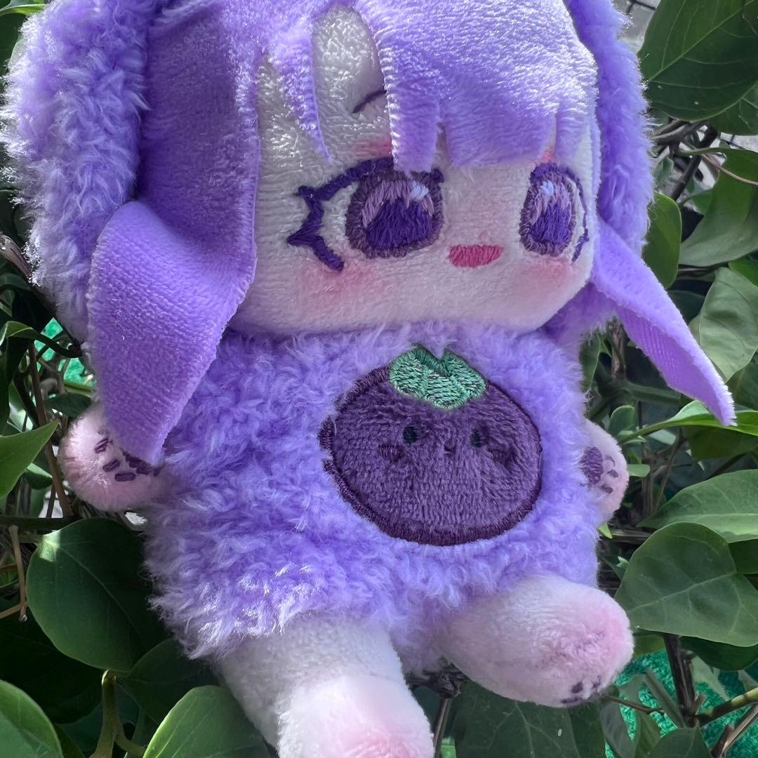 H*o様 自作ぬい ブルーベリーちゃん 無属性ぬいぐるみ