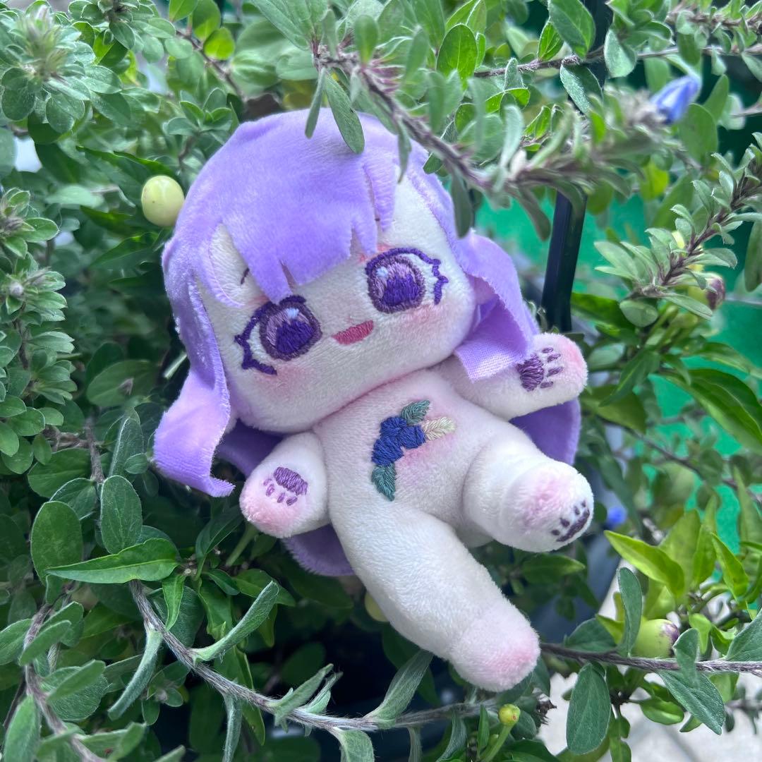 H*o様 自作ぬい ブルーベリーちゃん 無属性ぬいぐるみ