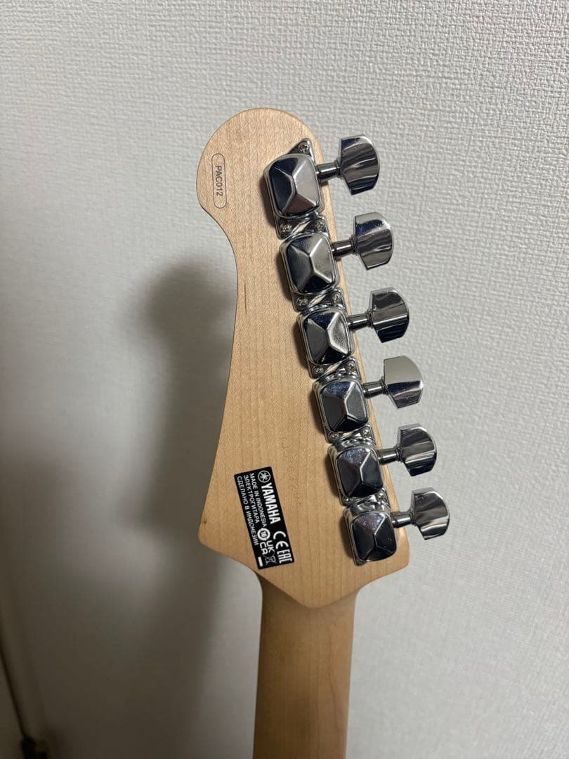 パシフィカ　PAC012 初心者セット　ぼっちざろっく　おまけ多数