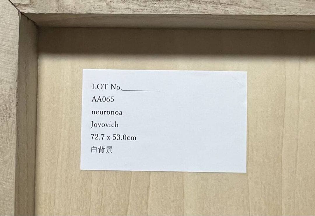 仕入れ価格の半額より売切！「ニューロノア」ウォーホルから影響！ミラジョボビッチ