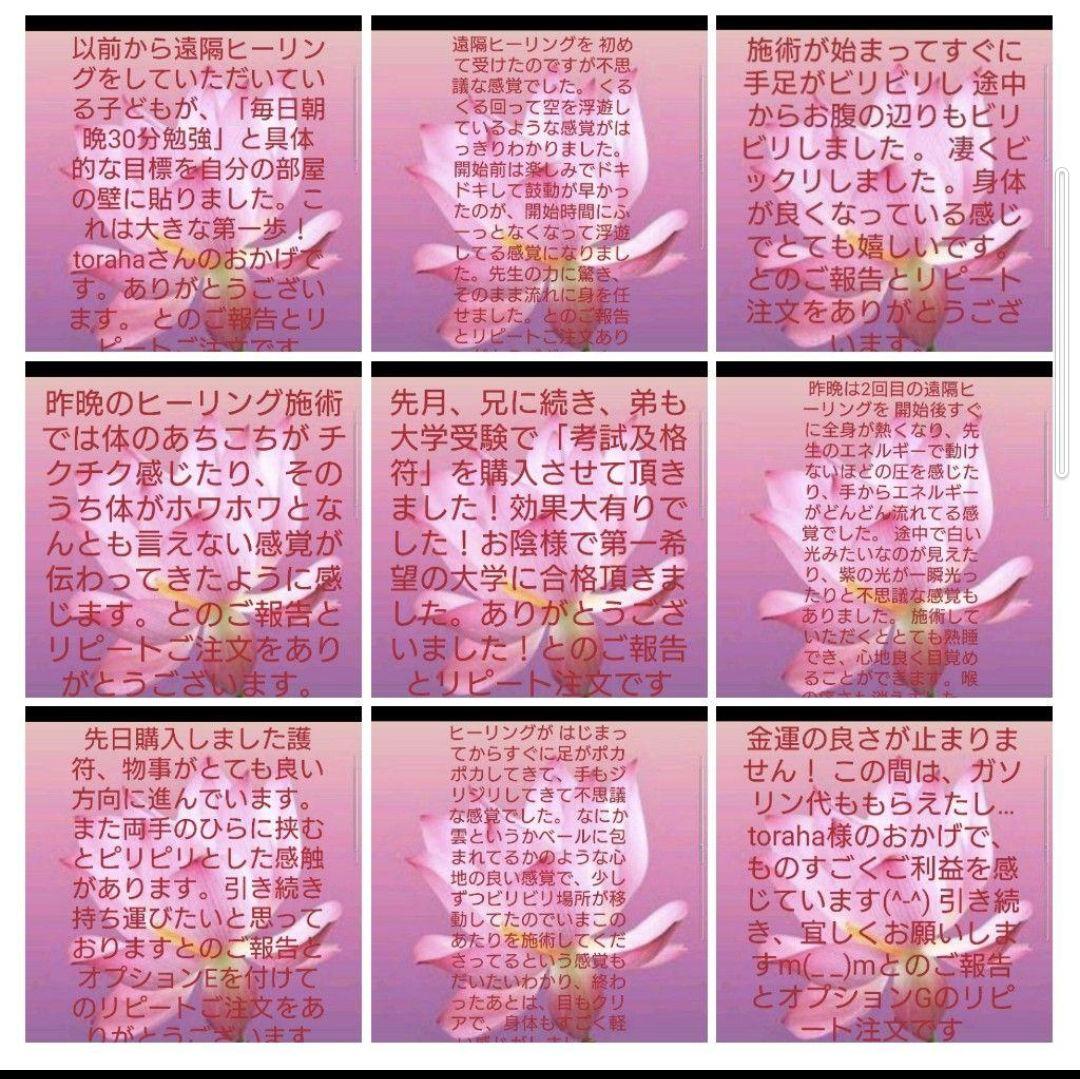 リピーター様（いちご様）のオプション追加の出品です（オルゴナイト）