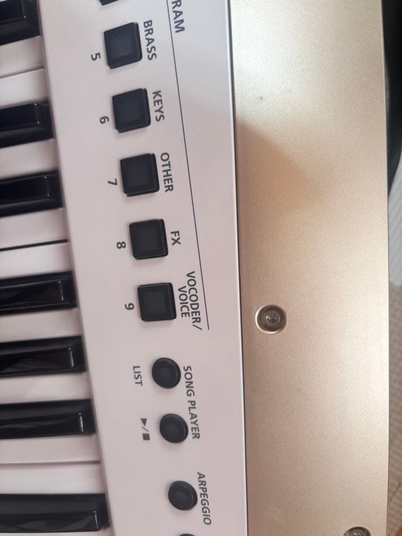 Roland AX-EDGE ショルダーキーボード