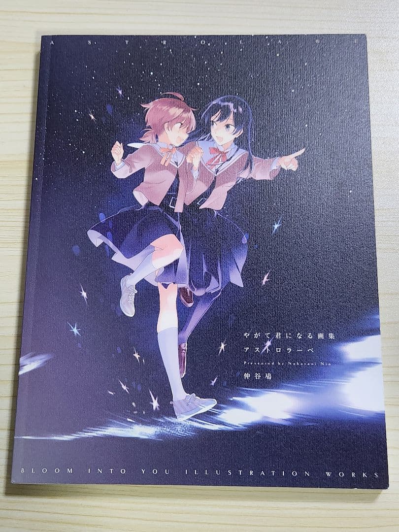 帯付初版 やがて君になる画集 アストロラーベ 仲谷 鳩