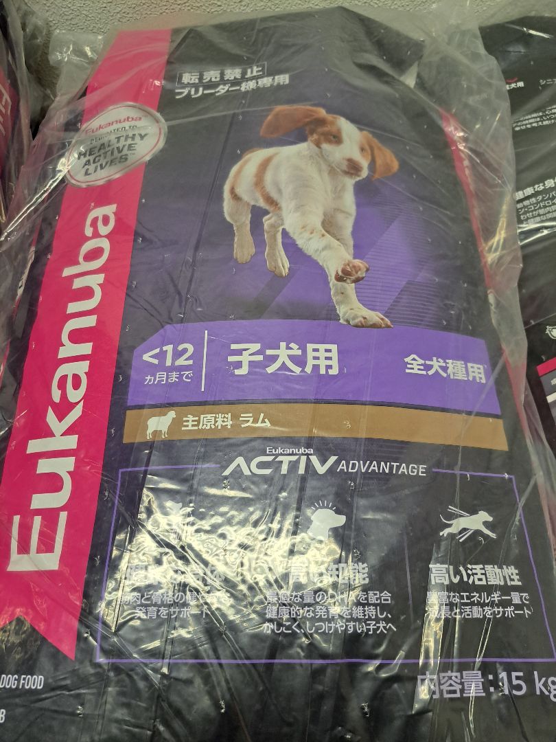 とらちさん