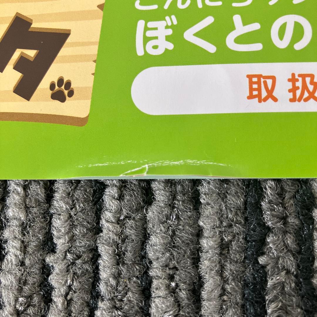こんにちワン！しばいぬコウタ