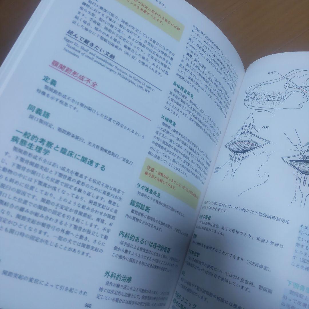 小動物外科手術 下