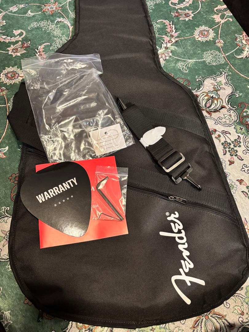 ギター Fender MiJ Limited Raw Ash Stratocaster