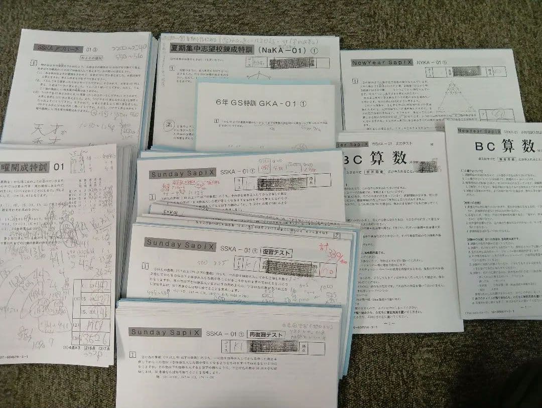 サピックス6年　開成対策/α/ 2026年受験　年間/WS /土特日特/冬期正月