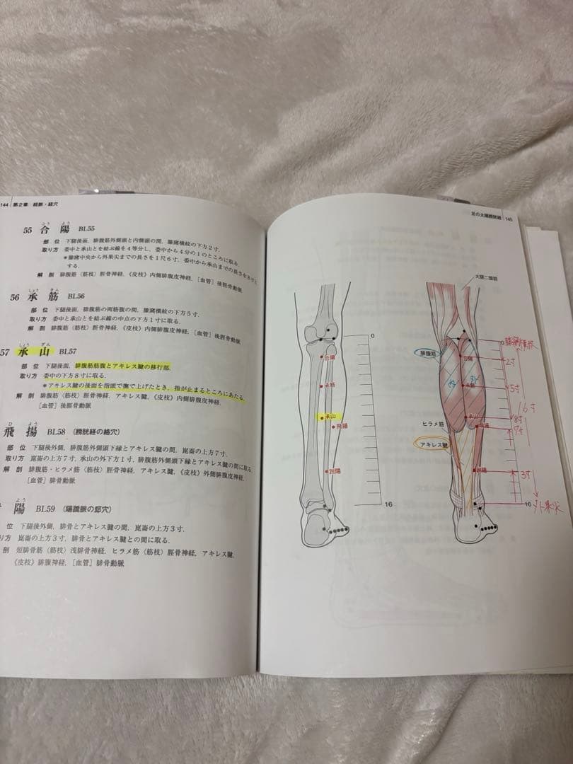 鍼灸 教科書 12点セット バラ売り可