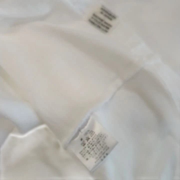 新品 ステュディオダルチザン　ゴジラコラボTシャツ GZ-016 L 日本製