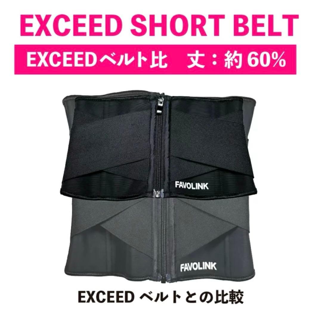 新品FAVOLINK  安井友梨【くびれ専用】ウエストシェイパー XXS