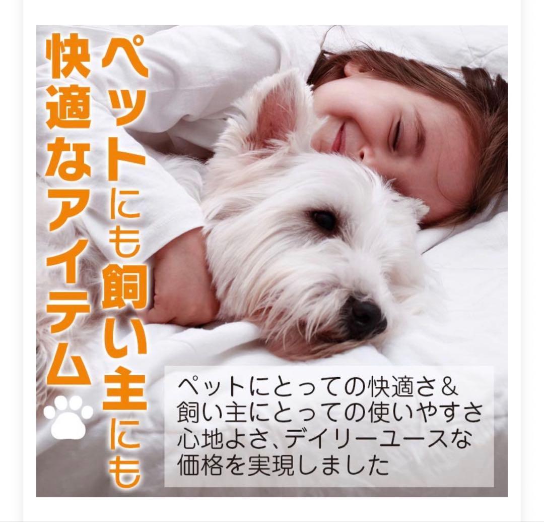 Tea Tree Shampoo 大容量 5L 犬用シャンプー