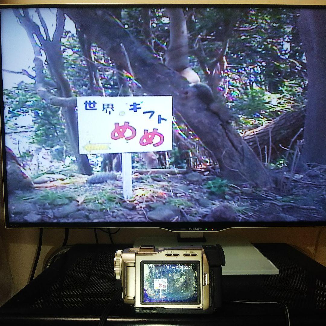 ビデオカメラ SONY Mini DV Handycam DCR-TRV10