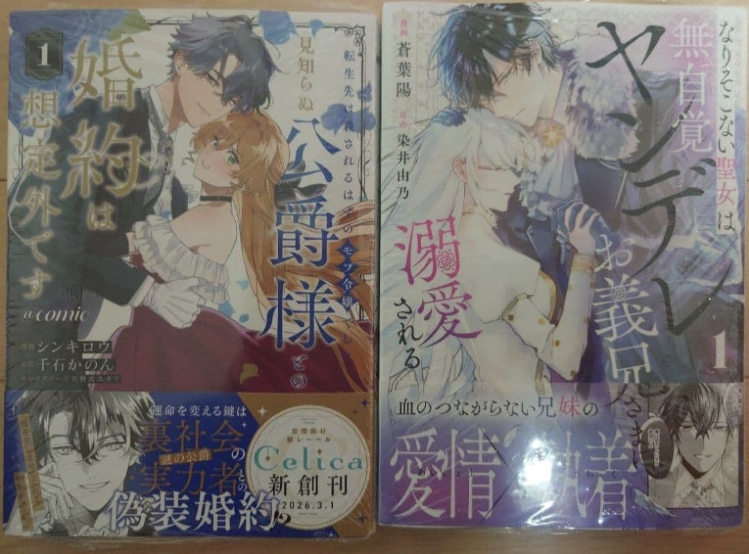 【ayumisanae】〜2月分〜