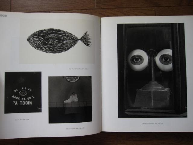 Irving Penn PASSAGE　アーヴィング・ペン　パッセージ　三宅一生