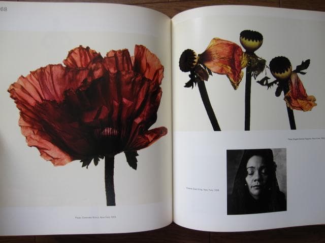 Irving Penn PASSAGE　アーヴィング・ペン　パッセージ　三宅一生