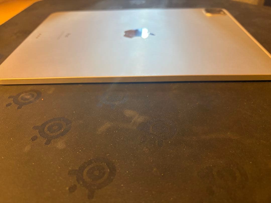 iPad Pro (11インチ) 第2世代 256GB シルバー