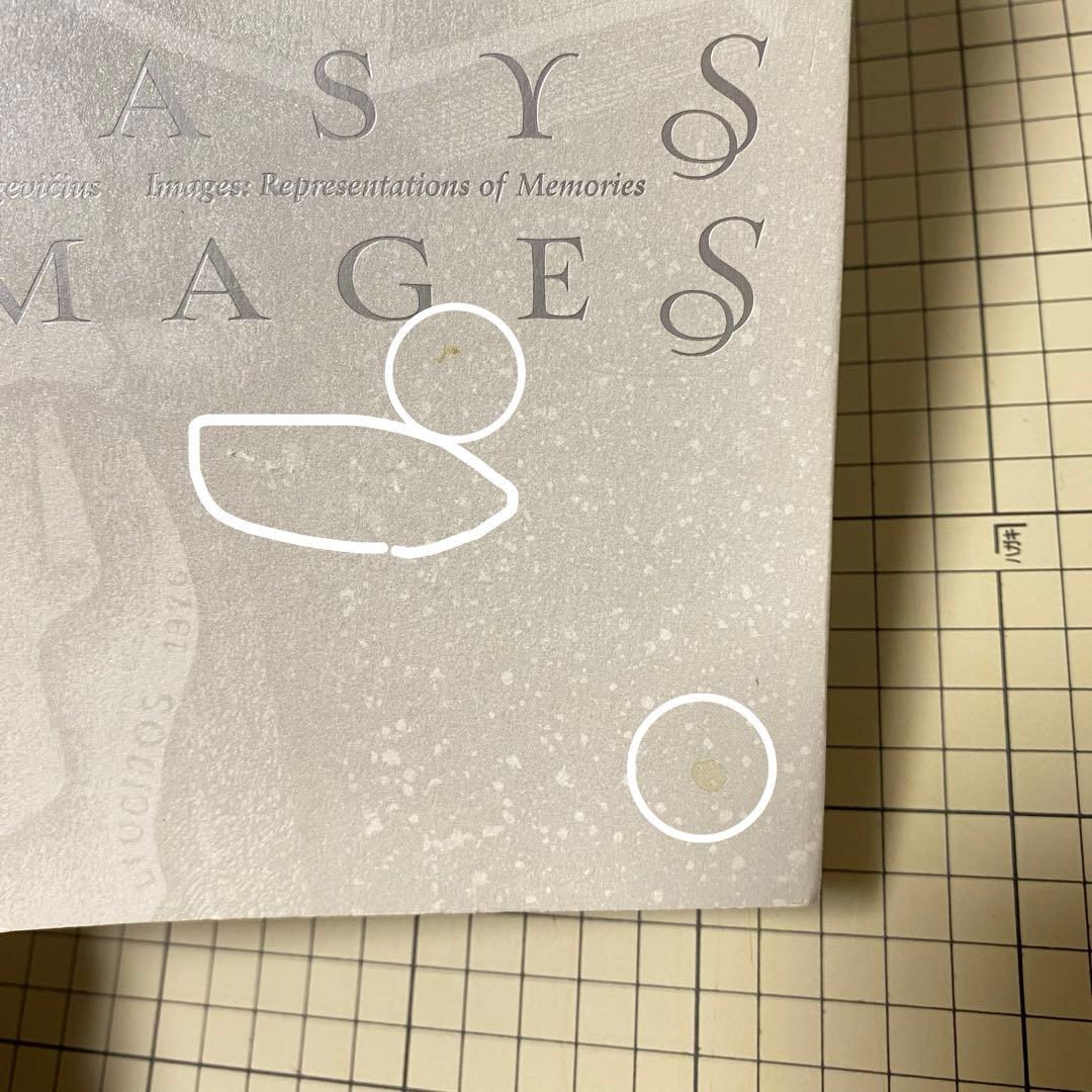 スタシス・エイドリゲヴィチウス　図録　展覧会　STASYS IMAGES