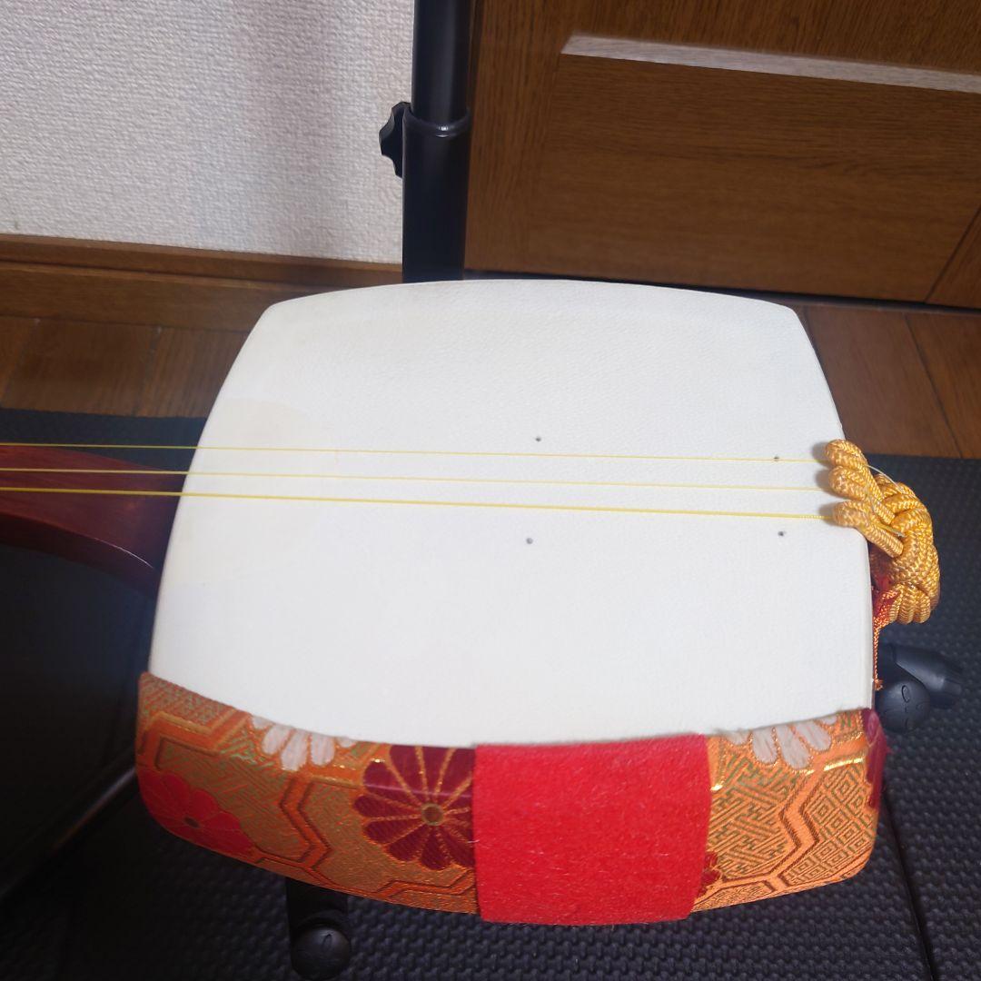 三味線　べっこうバチ　先端欠けなし　ハードケース 　三味線　撥　バチ　天然素材