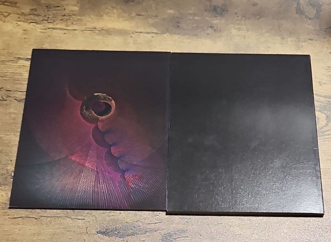 【完全生産限定盤】DIR EN GREY　The Insulated World