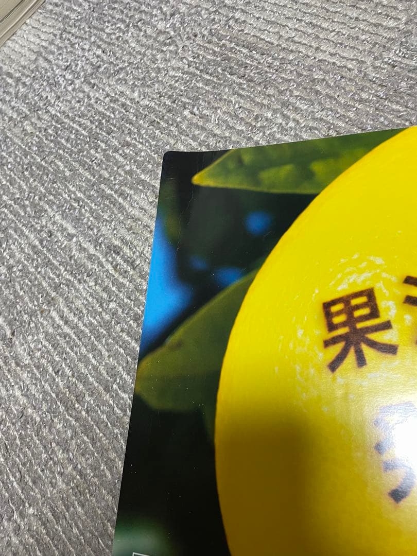 《レア？？》オセロ/ダンボール製ボード