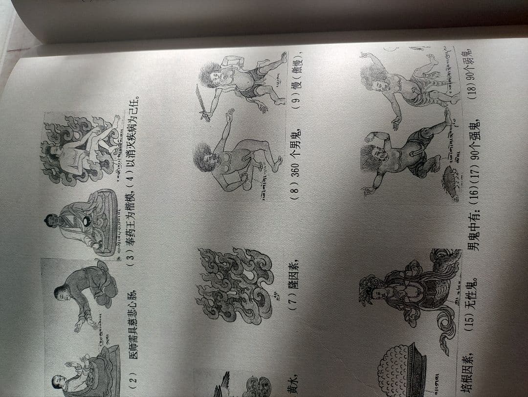 四部医系系列図鑑全集