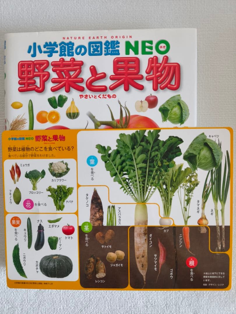 美品 9冊セット 小学館の図鑑NEO8冊＆NEO+ぷらす1冊