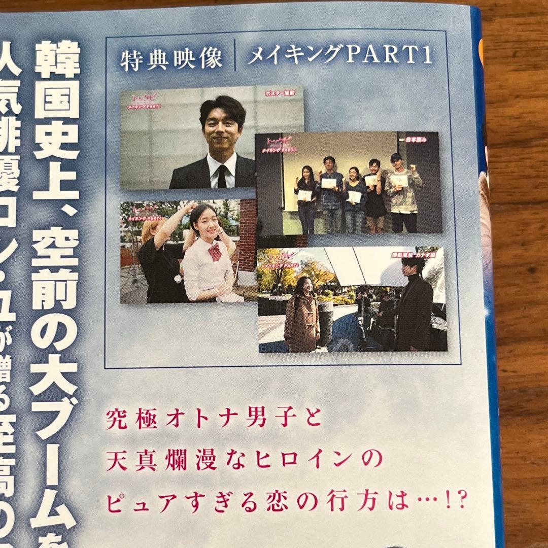 トッケビ 君がくれた愛しい日々 DVD 全15巻　全巻セット 日本語吹き替えあり