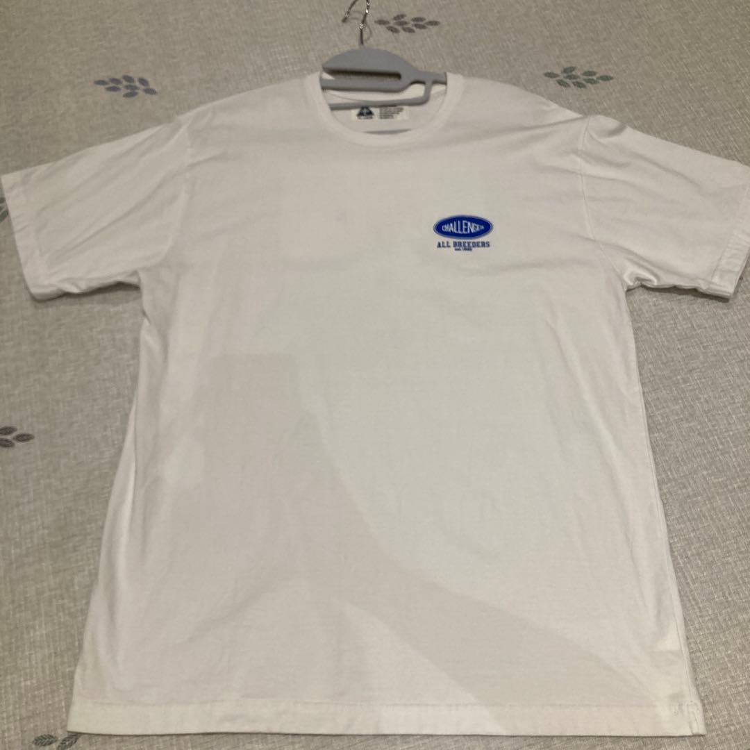 CHALLENGER チャレンジャー FROG TEE Tシャツ