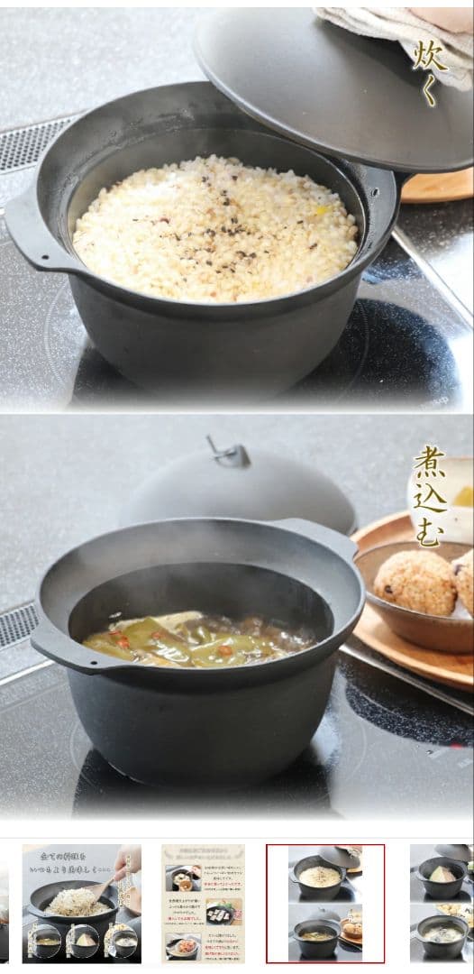 及源 (OIGEN) 南部鉄器 南部ごはん釜 5合炊き F-413【保証書付】