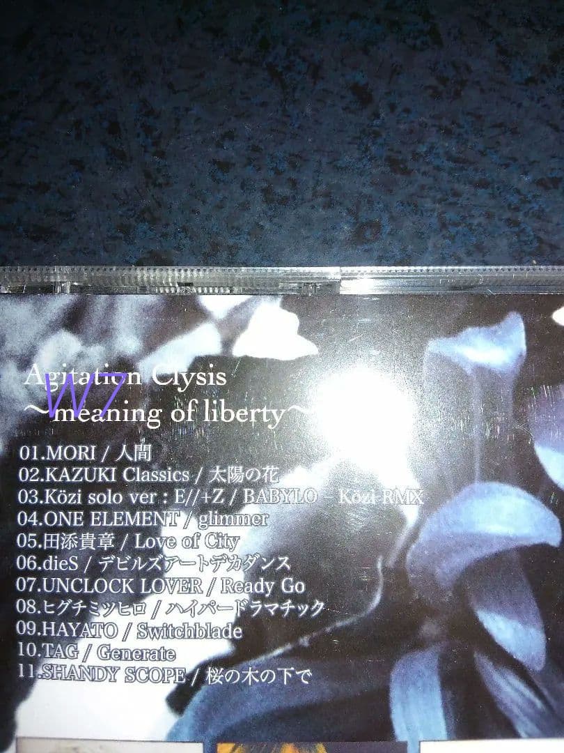 Agitation Clysis～meaning　KAZUKI Classics